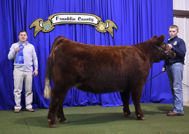 Shorthorn Breed Champion exhibited by Preston Busby